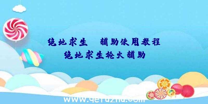 「绝地求生ez辅助使用教程」|绝地求生枪火辅助